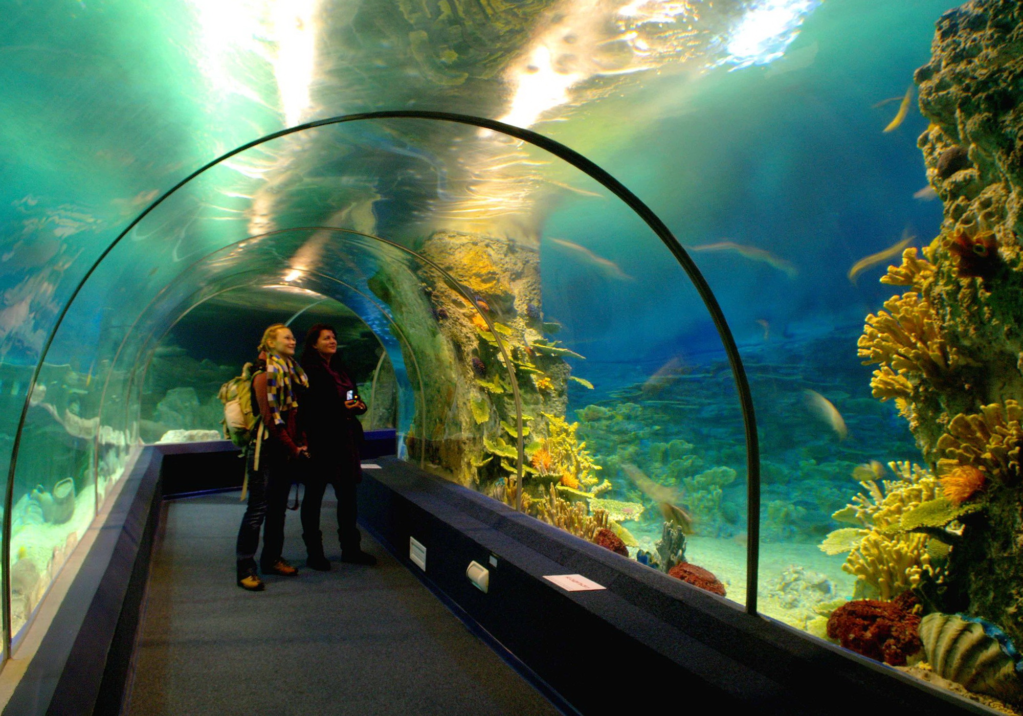 Океанариум Sochi Discovery World Aquarium